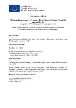 Informace o projektu Dětsk&aacute; skupina pro veřejnost v Brně