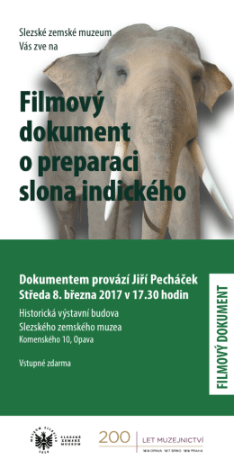 Filmov&yacute; dokument o preparaci slona indick&eacute;ho