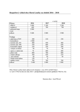 Rozpočtový výhled na rok 2016-2018