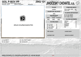 GOL P-BOY PP ZBQ 121