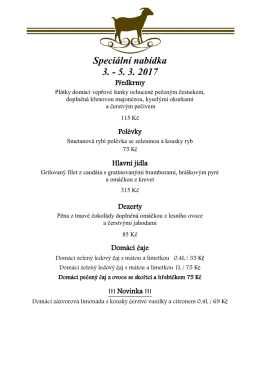 Speci&aacute;ln&iacute; nab&iacute;dka 3. - 5. 3. 2017