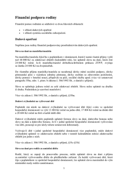 Finančn&iacute; podpora rodiny