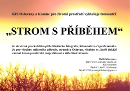 strom s příběhem
