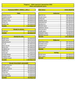 Rozdělení finančních prostředků PROGRAM I. SPORTOVNÍ