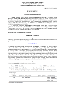Usnesen&iacute; o nař&iacute;zen&iacute; elektronick&eacute; dražby