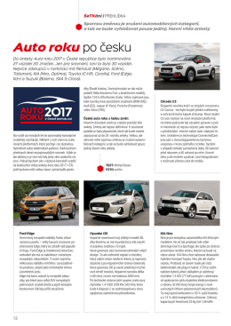 Auto roku po česku