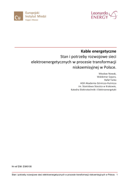 Kable energetyczne Stan i potrzeby rozwojowe sieci