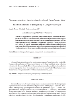 Wybrane mechanizmy chorobotwórczości pałeczek Campylobacter