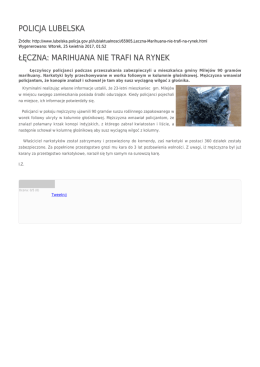 Generuj PDF - Policja Lubelska