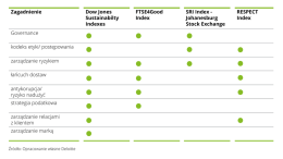 Zagadnienie Dow Jones Sustainabilty Indexes