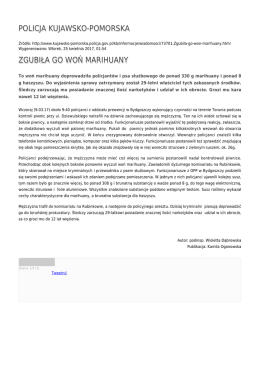 POLICJA KUJAWSKO-POMORSKA ZGUBIŁA GO WOŃ MARIHUANY