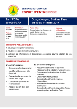 esprit d`entreprise - Maison de l`Entreprise du Burkina Faso