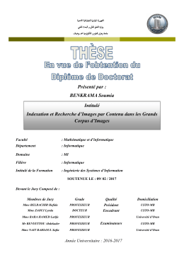 Indexation et Recherche d`Images par Contenu dans les Grands