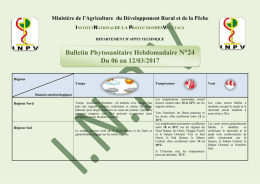 Bulletin Phytosanitaire n°24