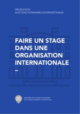 faire un stage dans une organisation internationale