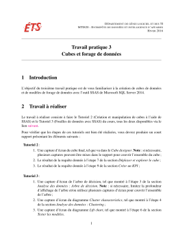 Travail pratique 3 Cubes et forage de donn&eacute;es 1 Introduction 2
