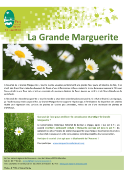 La Grande Marguerite