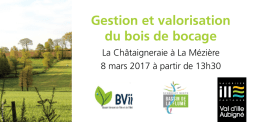 Gestion et valorisation du bois de bocage - Saint
