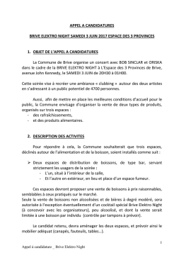 APPEL A CANDIDATURES BRIVE ELEKTRO NIGHT SAMEDI 3