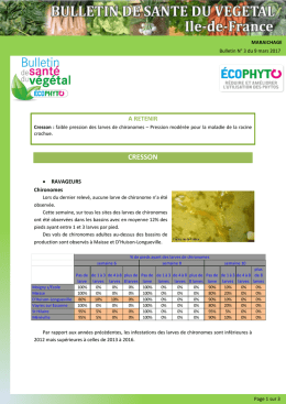 BSV_maraichage_17-03