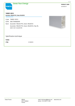 740901-9010 Goulotte 100x54 PVC, blanc RAL9010