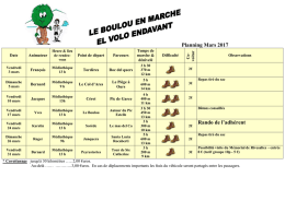 Mars 2017 - le boulou en marche