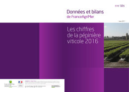 Les chiffres de la pépinière viticole 2016