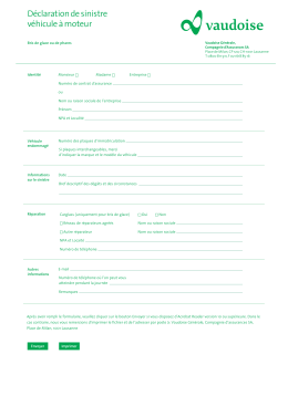 Bris de glace - Vaudoise Assurances