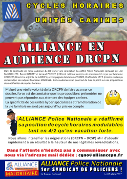 ALLIANCE en audience DRCPN - Alliance Police Nationale