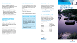 Les chauves- souris et la rage