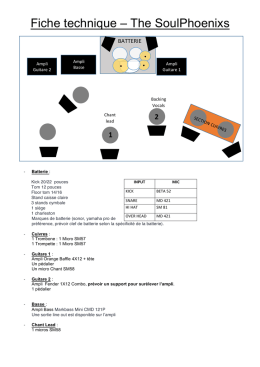 Fiche technique – The SoulPhoenixs