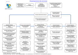 Télécharger l`organigramme des services