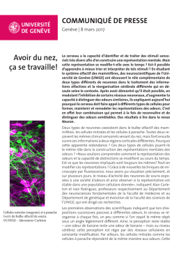 T&eacute;l&eacute;charger la version PDF