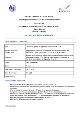 aperçu de l`atelier/séminaire