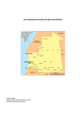 Les manoeuvres autour du gaz mauritanien