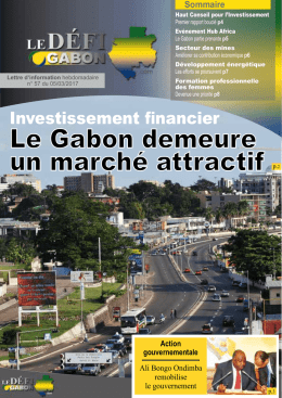 Le Gabon demeure un march&eacute; attractif