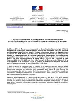 Le Conseil national du numérique rend ses recommandations au