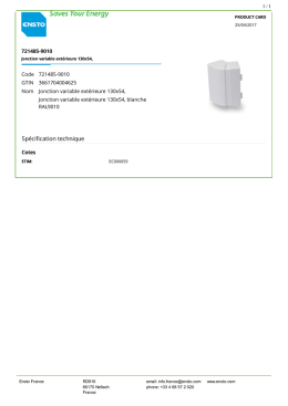 721485-9010 Jonction variable ext&eacute;rieure 130x54,