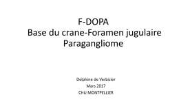 Une mise au point sur les paragangliomes