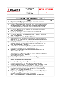 Feux d`artifice domestiques et professionnels