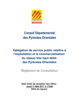 Règlement de consultation - La plate