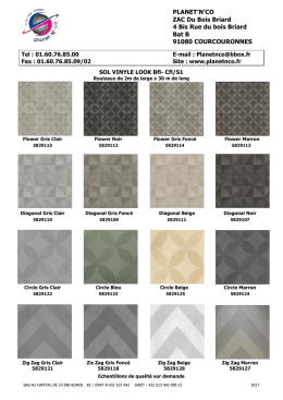 Plaquette SOL VINYLE LOOK 2017