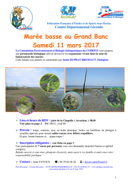 Annonce mar&eacute;e basse-Sam.11 mars 2017-CODEP33
