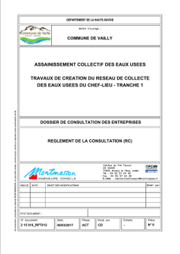 Règlement de consultation