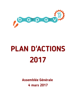 Plan_actions_2017