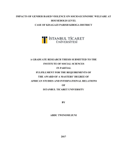 Assessing the impacts of gender based violence on socio-economic development