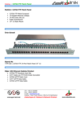 CAT6A-FTP-PP