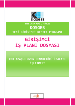 Cok amacli ozon jenaretoru imalati isletmesi kosgeb girisimci destegi is plani dosyasi &ouml;rnegi 2018 2019 yeni g&uuml;ncel