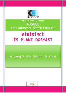 Toz camasir suyu imalat isletmesi kosgeb girisimci destegi is plani dosyasi &ouml;rnegi 2018 2019 yeni g&uuml;ncel