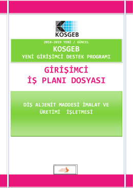 Dis aljenit maddesi imalat ve uretimi isletmesi kosgeb girisimci destegi is plani dosyasi örnegi 2018 2019 yeni güncel